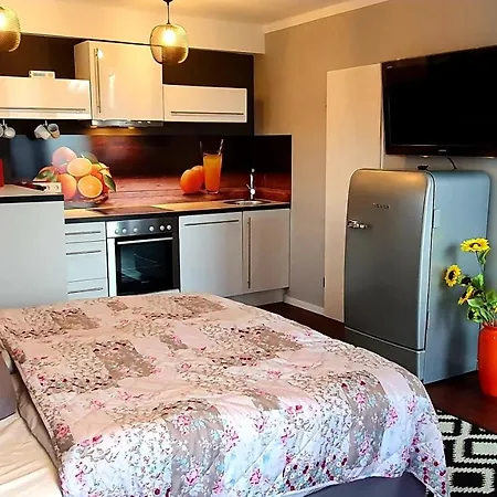 Apartamento Stylisches Modernes Studio In